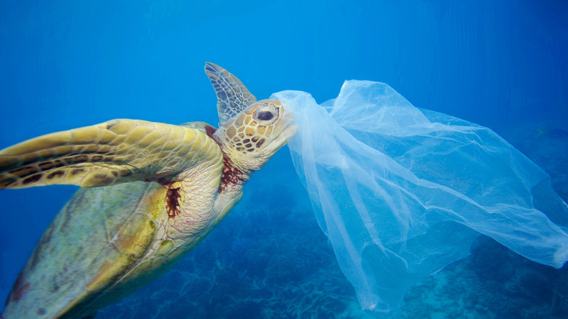 Aiuta Amnesty: la tua firma può salvare una vita