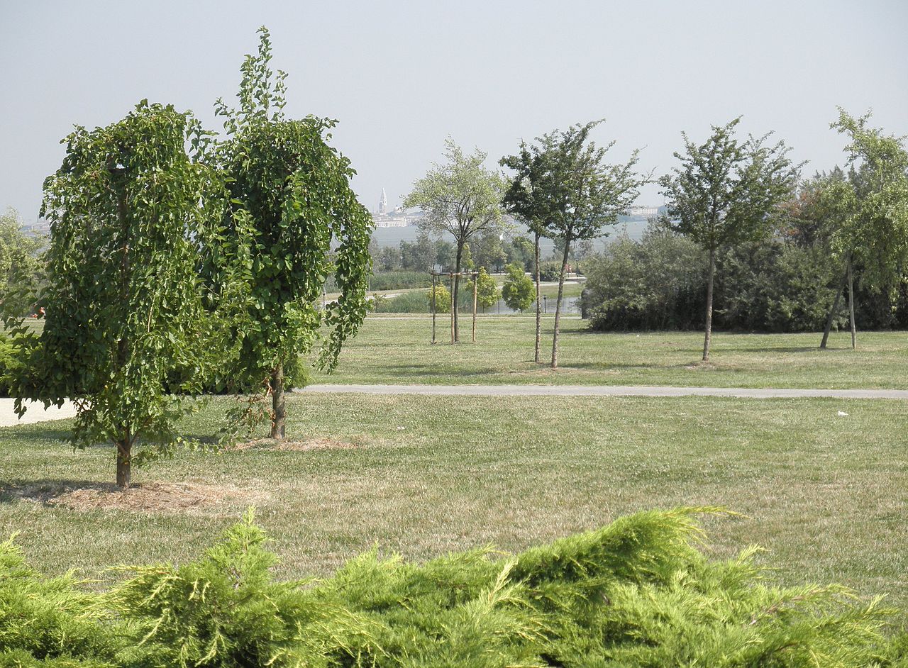 Parco San Giuliano a Mestre in Veneto - Italia