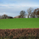 Paesaggio dello Yorkshire in Inghilterra, nel Regno Unito