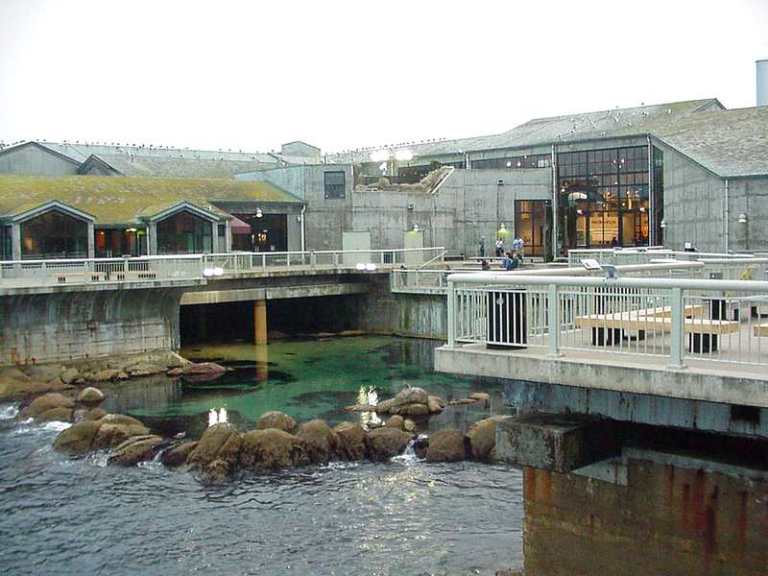 Bay Aquarium a Monterey in California - USA