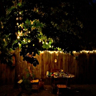 Luci tra gli alberi in giardino in una notte d'estate