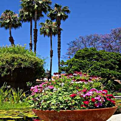 Vaso tondo con fiori ed alte palme nel giardino in estate