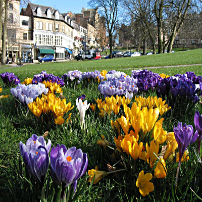 Aiuole con fiori colorati in mezzo alla città in estate