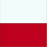 Bandiera della Polonia