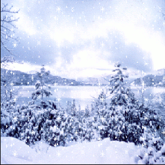 Alberi con neve