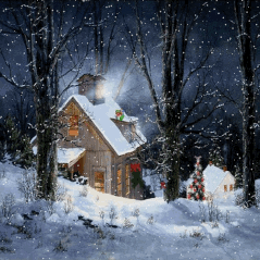 Notte sotto la neve