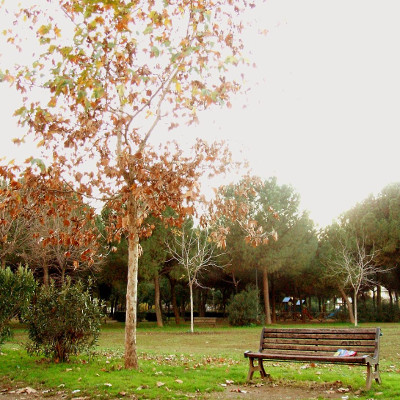 Villa Gordiani a Roma nel Lazio, in Italia