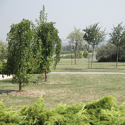 Parco San Giuliano a Mestre in Veneto, in Italia