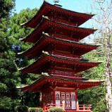 Golden Gate Park a San Francisco in California, negli Stati Uniti d'America