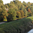 Strada alberata lungo il fiume in autunno