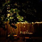 Luci tra gli alberi in giardino in una notte d'estate