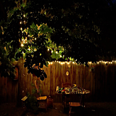 Luci tra gli alberi in giardino in una notte d'estate