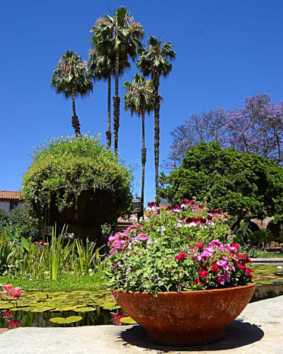 Vaso tondo pieno fiori ed alte palme nel giardino in estate