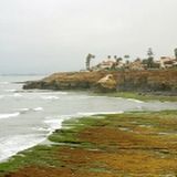 Giornata grigia sulla costa in inverno