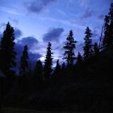 Nuvole nere sulla foresta in inverno