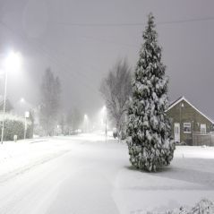 Sfondo dell'Inverno